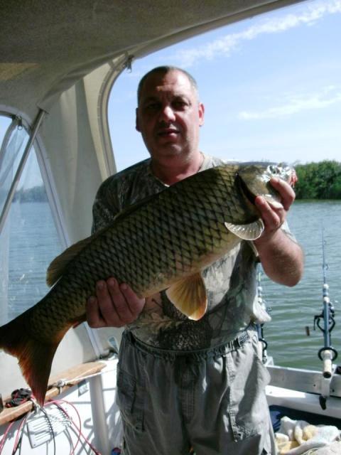 delta rosu 2012 - 527825.jpg